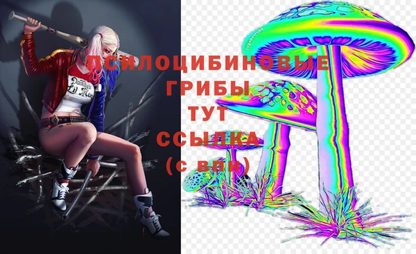 мяу мяу мука Алзамай