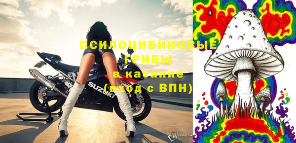 мяу мяу мука Алзамай