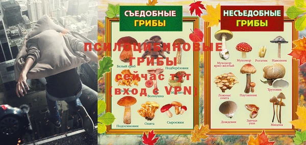 ГАЛЛЮЦИНОГЕННЫЕ ГРИБЫ Новокубанск