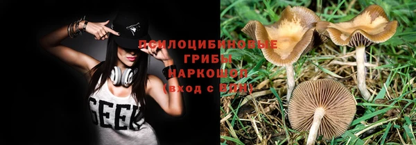 ГАЛЛЮЦИНОГЕННЫЕ ГРИБЫ Новокубанск