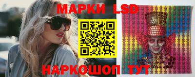 гидропоника Можга