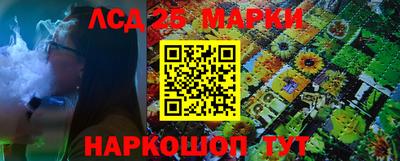 индика Можайск
