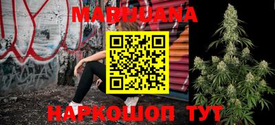индика Можайск