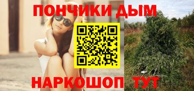 гидропоника Можга