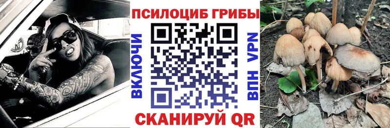 Галлюциногенные грибы мицелий  цены наркотик  Арзамас 