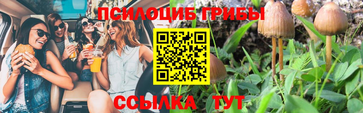 Псилоцибиновые грибы Psilocybine cubensis Арзамас